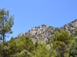 Valle de Leiva-Perdiz 2010